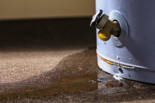 Best 24/7 water damage repair  in Grissom Af, IN