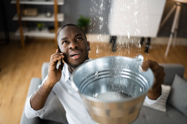 Best Flood restoration services  in Grissom Af, IN