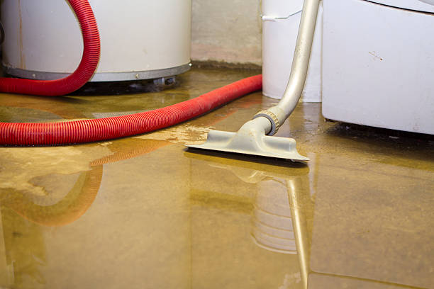 Best Carpet water damage restoration  in Grissom Af, IN