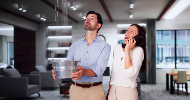 Best Ceiling water damage repair  in Grissom Af, IN