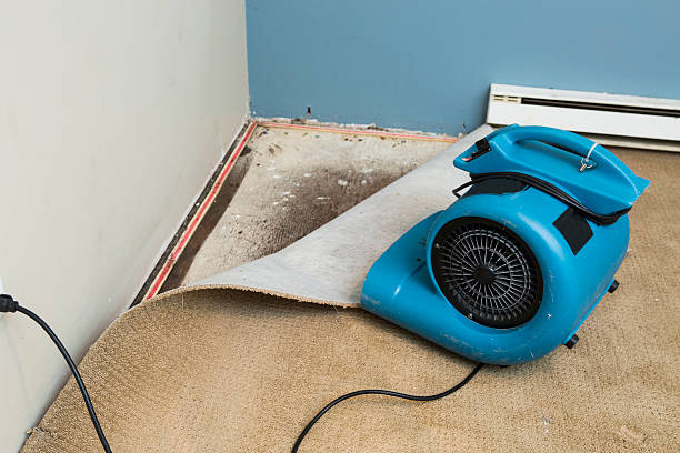 Best Water damage restoration process  in Grissom Af, IN